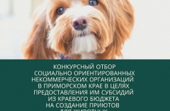 На создание приютов для животных можно получить до 4,3 миллиона рублей