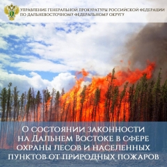 О состоянии законности на Дальнем Востоке в сфере охраны лесов и населенных пунктов от природных пожаров