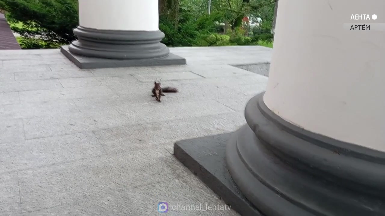 ����� � ����� �� ���� �������� �� ������