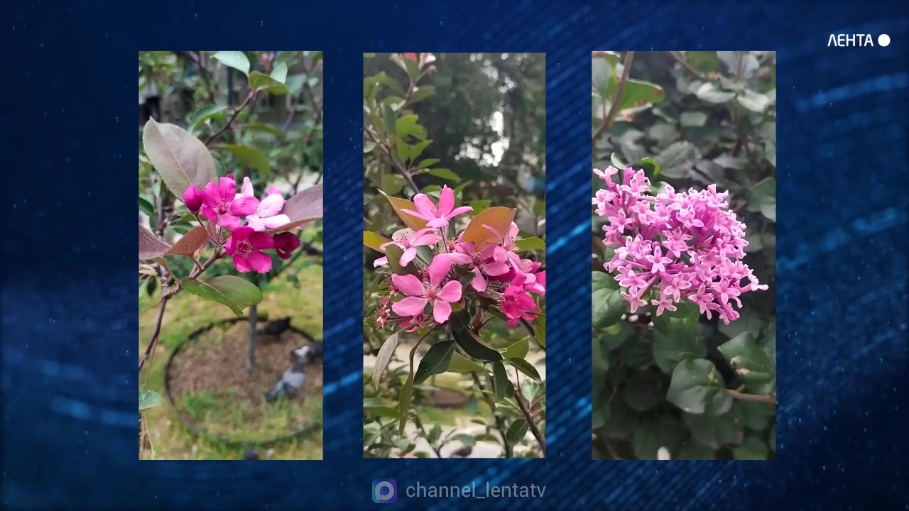 � ���������� ����� ������� ������� ������ � ������