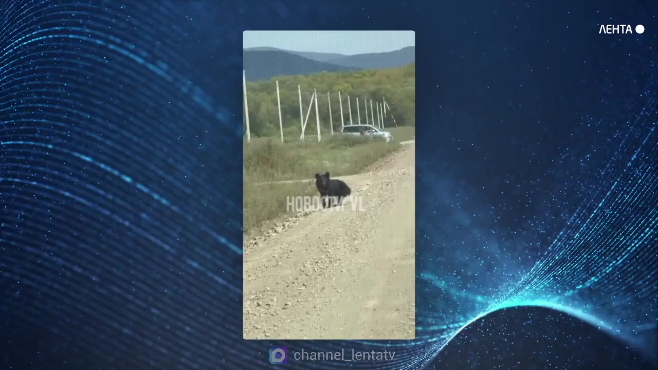 � �������� ���� � ��� ��������� ����������� ����������