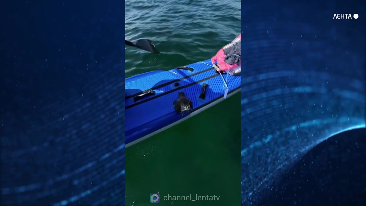 ���������� ������ ������� � ���� ������� �� ������� �������